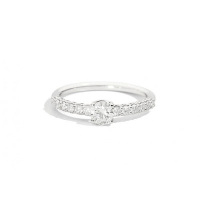 Anello Solitario Pave' Recarlo in Oro Bianco Anniversary