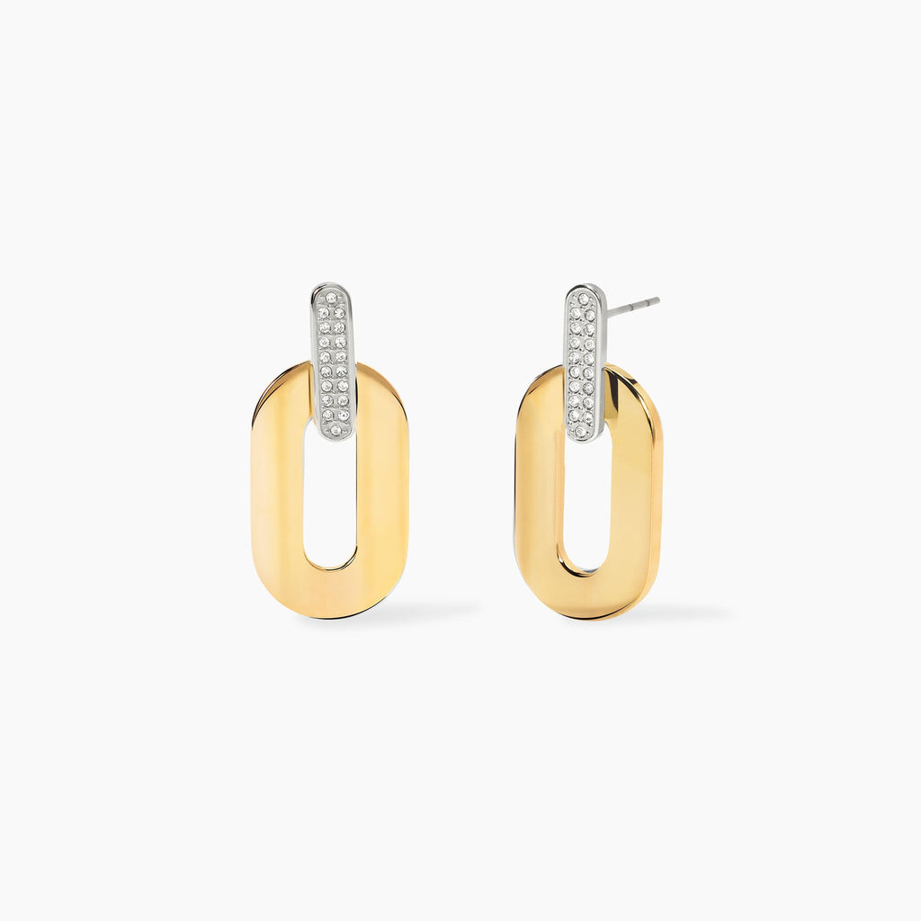 Orecchini Kidult Style Acciaio Bicolore Pendenti Allungati con Cristalli