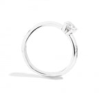 Anello Solitario Recarlo in Oro Bianco Eternity