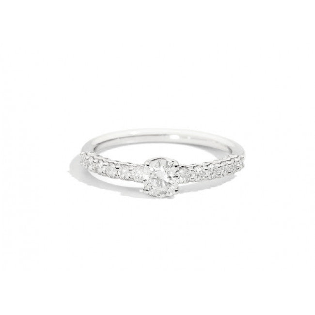 Anello Solitario Pave' Recarlo in Oro Bianco Anniversary