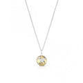 Collana Argento Roberto Giannotti