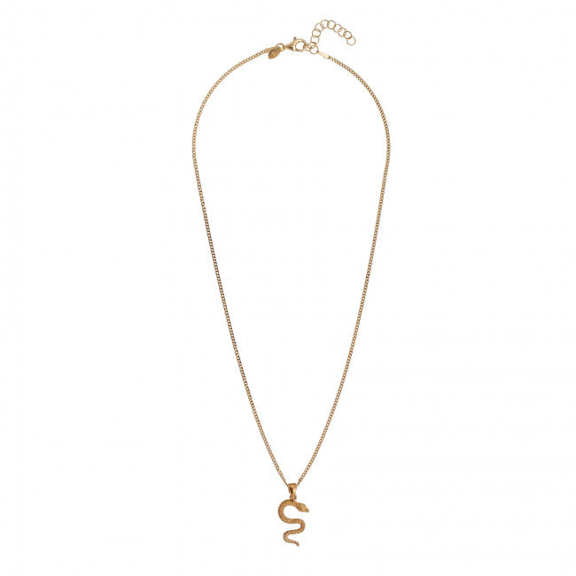 Collana Alisia Argento 925 Snake