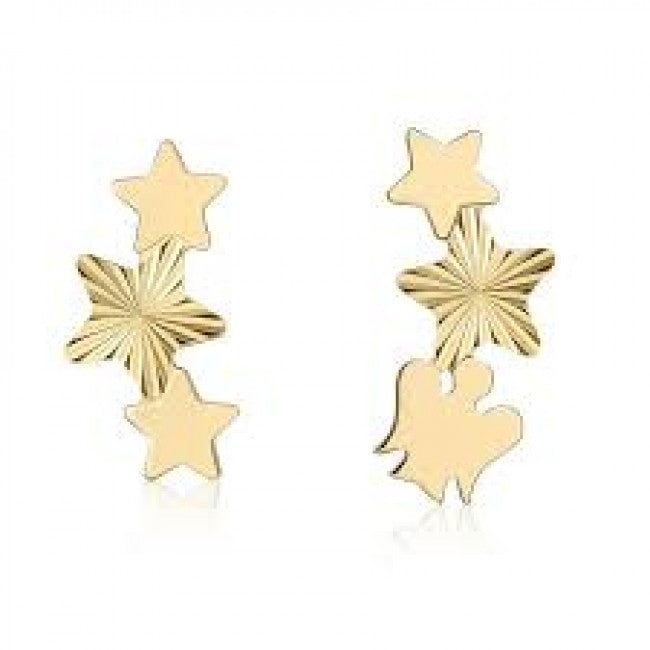 Orecchini Oro9kt Roberto Giannotti